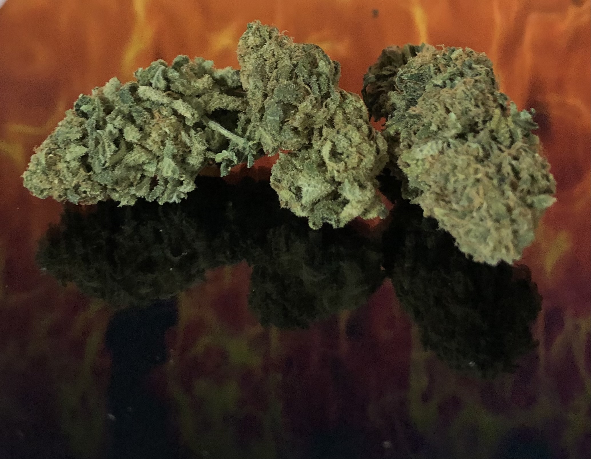 naše první květy na prodej z domácího indoor